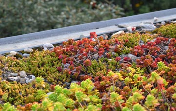 the cost of Durley green roof installation