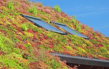 Durley living roof systems