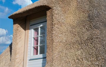 Durley thatch roof disadvantages